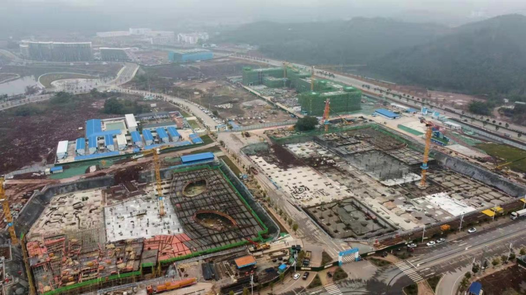 1648518232776680.jpg 圖片7.jpg